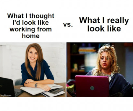 19 Working From Home Memes To Brighten Your Day BROSIX