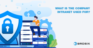 Company Intranet: What Is It And Does Your Company Need One? - BROSIX